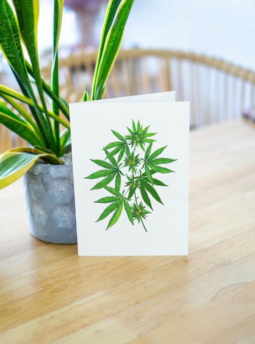 MJ's Greeting Cards (variety)