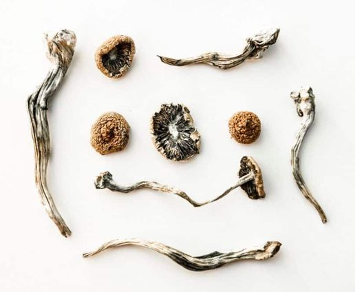 MJ's Dried Fruit 7g – Whole