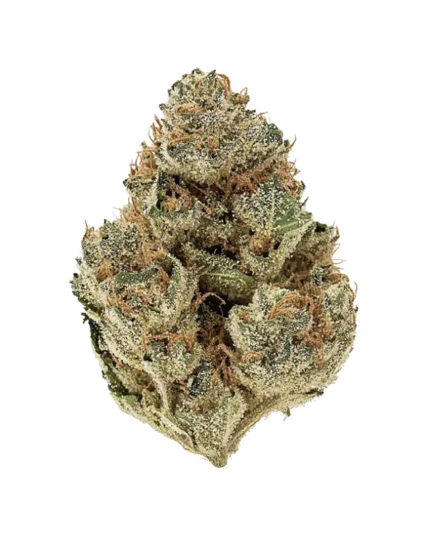 MJ's Premium Flower 3.5g - Orange Slushie - Hybrid/I