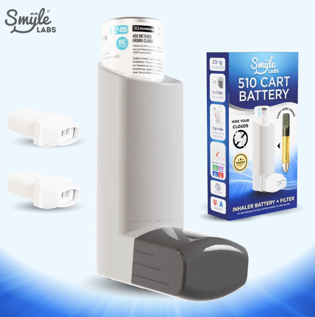 Penjamin Inhaler 510 Thread Battery - Assorted Colors