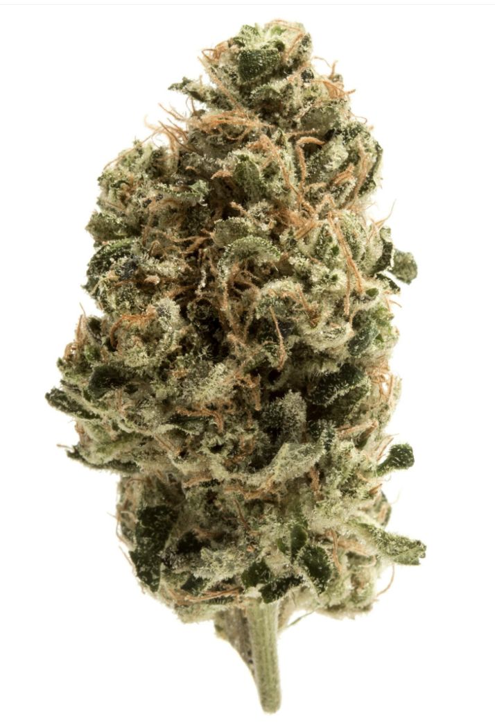 MJ's Premium Flower 3.5g -  Garlicane - Indica
