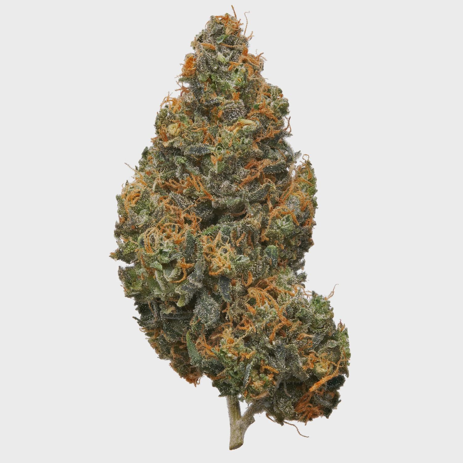 MJ's Premium CBD Flower 3.5g - Lemon Abacus - Sativa