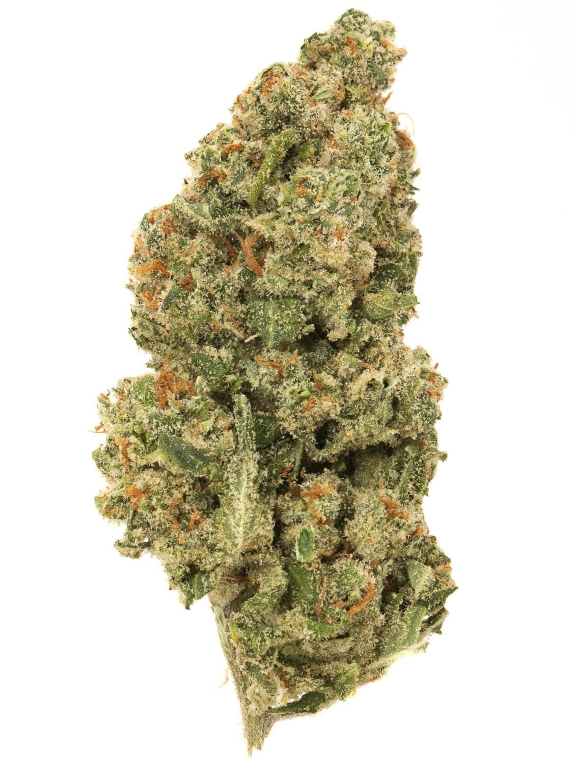 MJ's Premium Flower 3.5g - Jacks Cleaner - Sativa