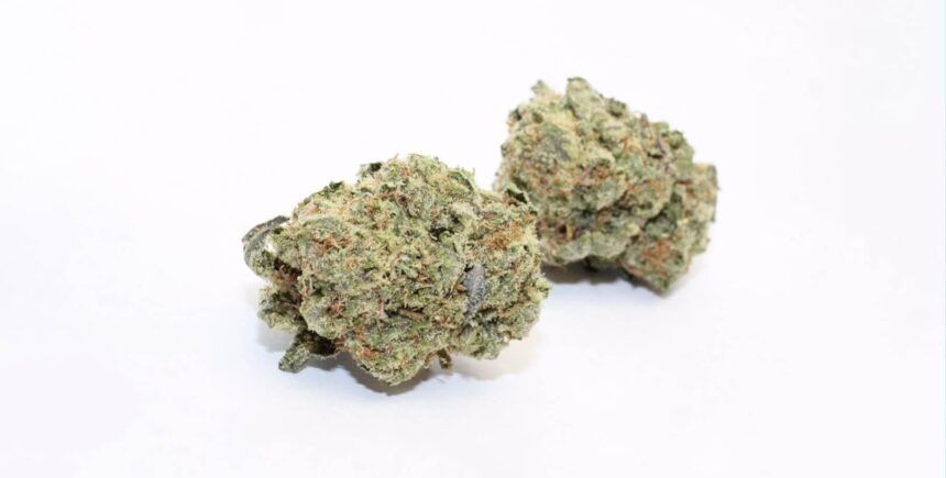 MJ's Premium Flower 3.5g - Pink Pineapple - Sativa