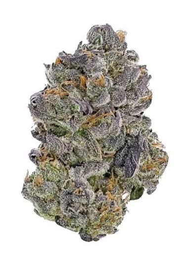 MJ's Premium Flower 3.5g - Lemon Cherry Icee - Hybrid
