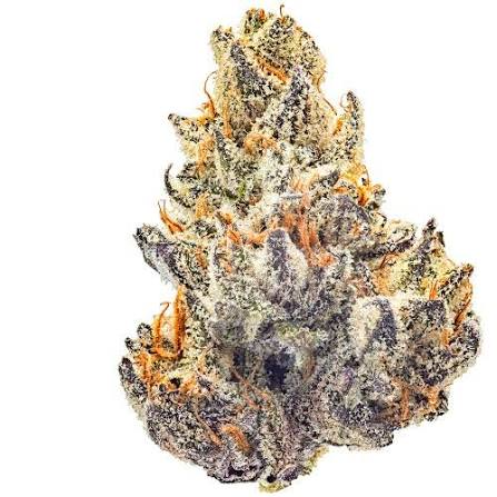 MJ's Premium Flower 3.5g - Za - Indica