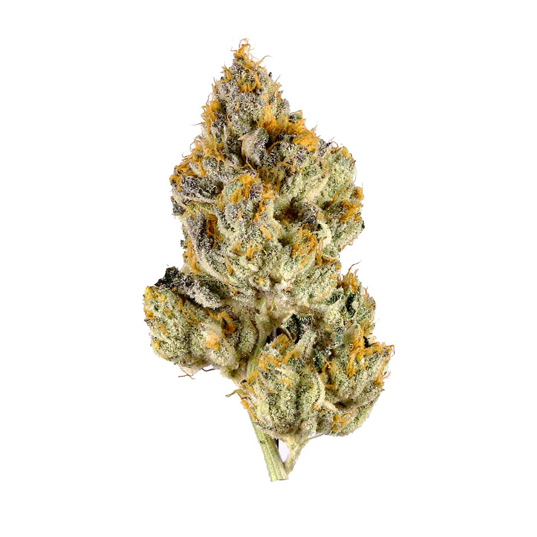 MJ's Premium Flower 3.5g - Lemon Cherry Gelato - Hybrid/I