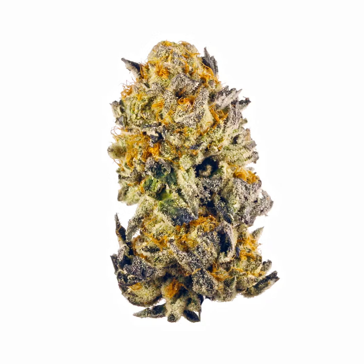 MJ's Premium Flower 3.5g - Versace Runtz - Hybrid/S