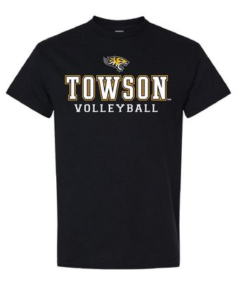 Volleyball Tee Shirt