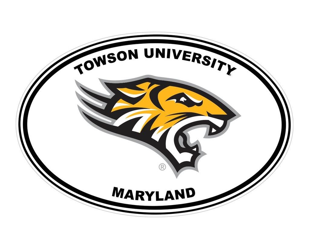 Tiger Head Decal