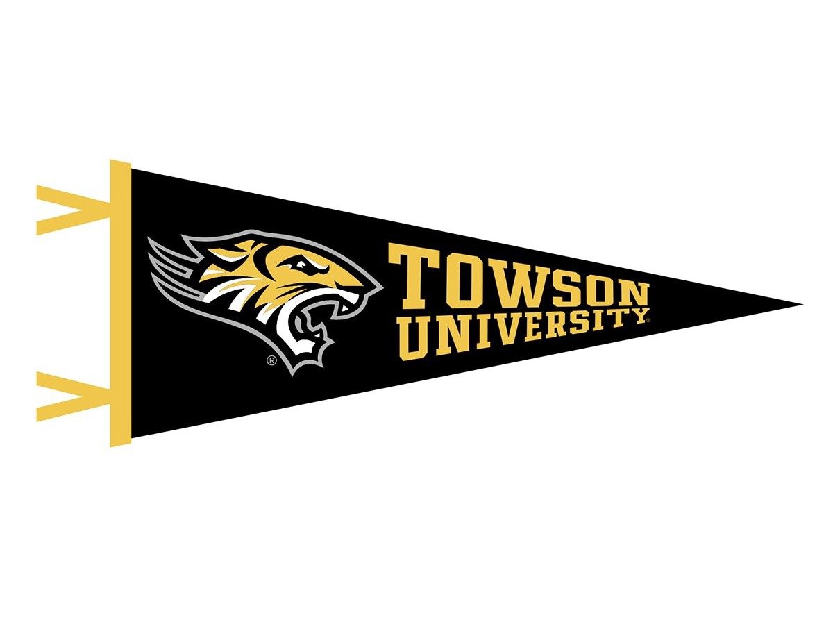 Towson Pennant 12x30