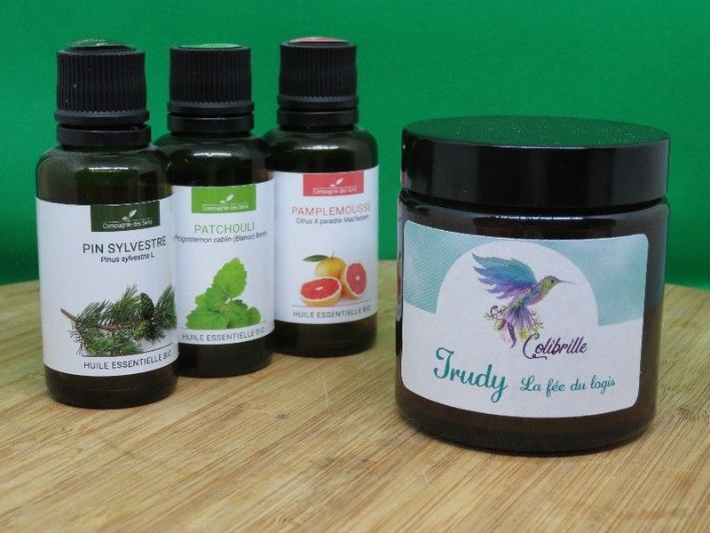 Trudy, la fée du logis