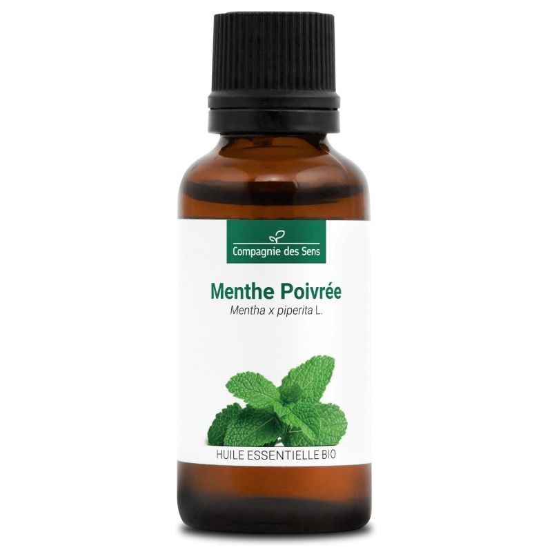 Menthe poivrée