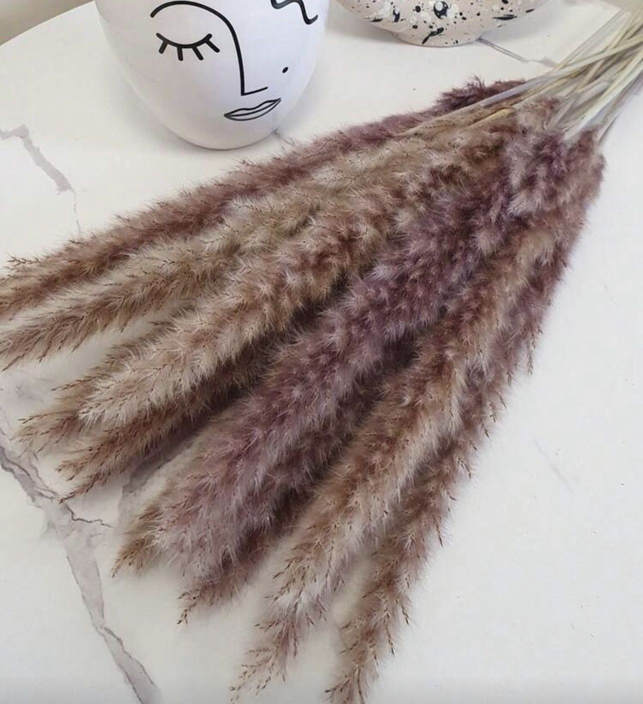 Pampas preserved, Colour: Brown