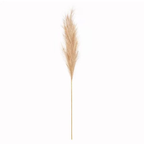 Reed Stem