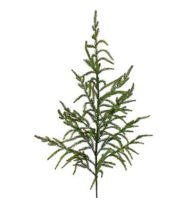 38in. NATURAL TOUCH NORFOLK PINE SPRAY
