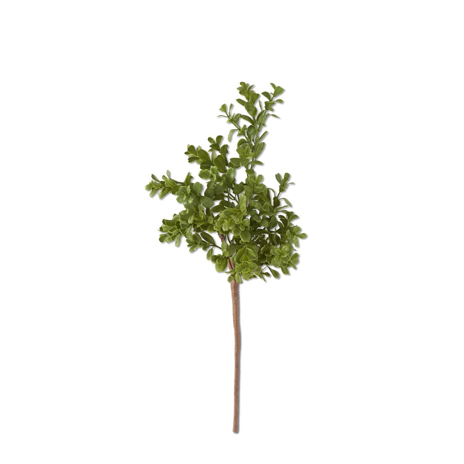 18 INCH REAL TOUCH BOXWOOD PICK