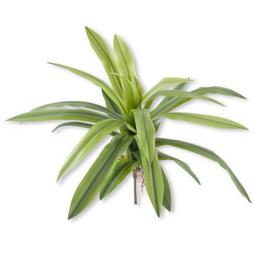 24" Real Touch Agave Foliage Spray