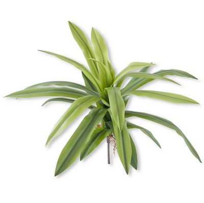 24" Real Touch Agave Foliage Spray