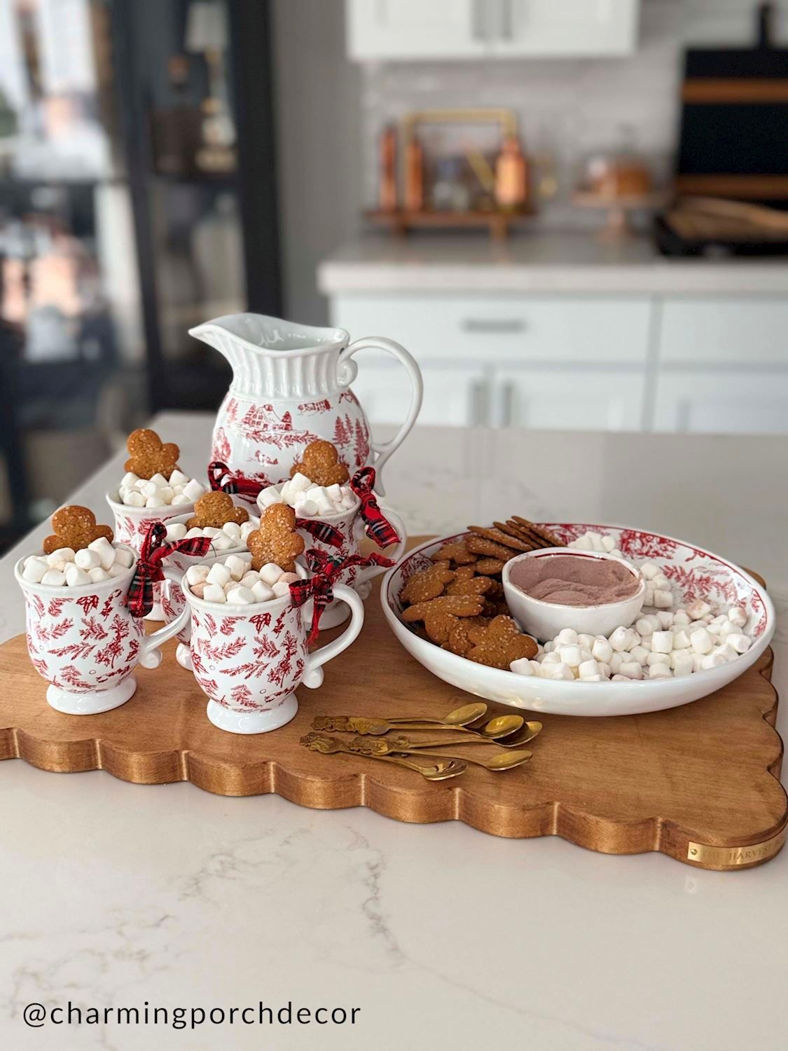 RED/ WHITE TOILE PITCHER