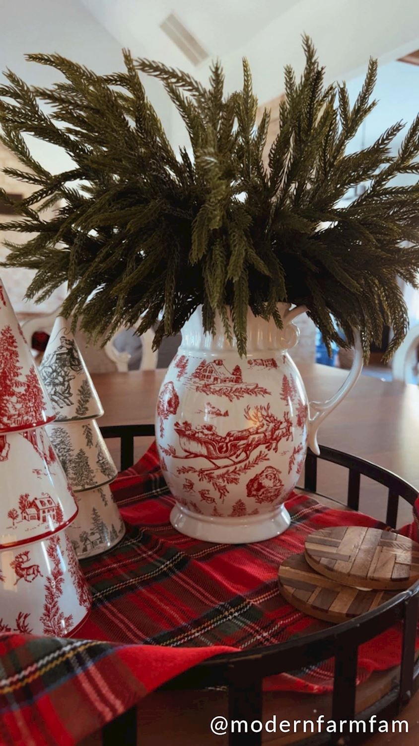 RED/ WHITE TOILE PITCHER