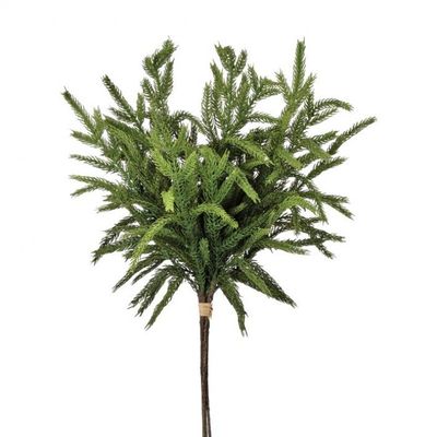* 17" NORFOLK PINE BUNDLE, GREEN