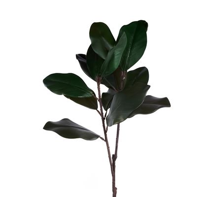 40"L MAGNOLIA SPRAY
