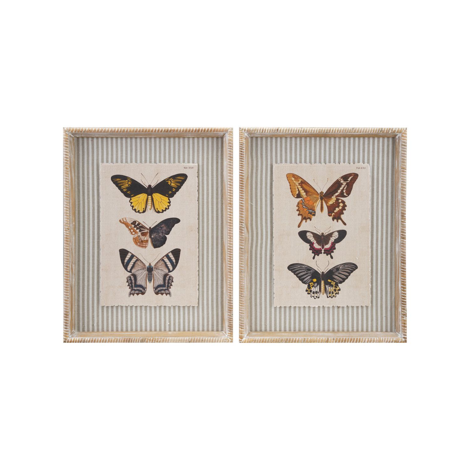 14x18 Framed Butterflies &amp; Striped Mat, 2 Styles