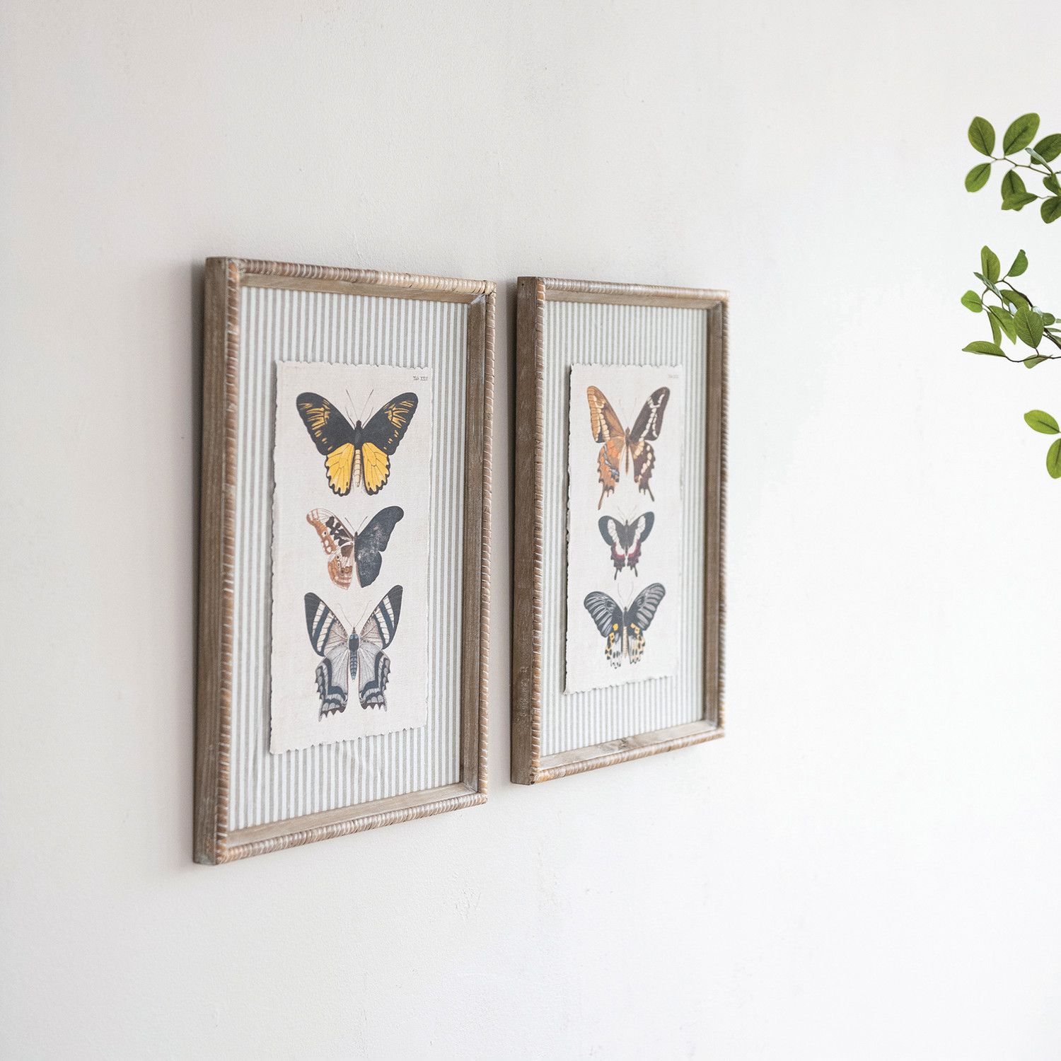 14x18 Framed Butterflies &amp; Striped Mat, 2 Styles