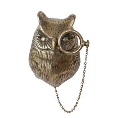 Cast Aluminum Owl Head with Monocle Wall decor, Antique Brass Finish