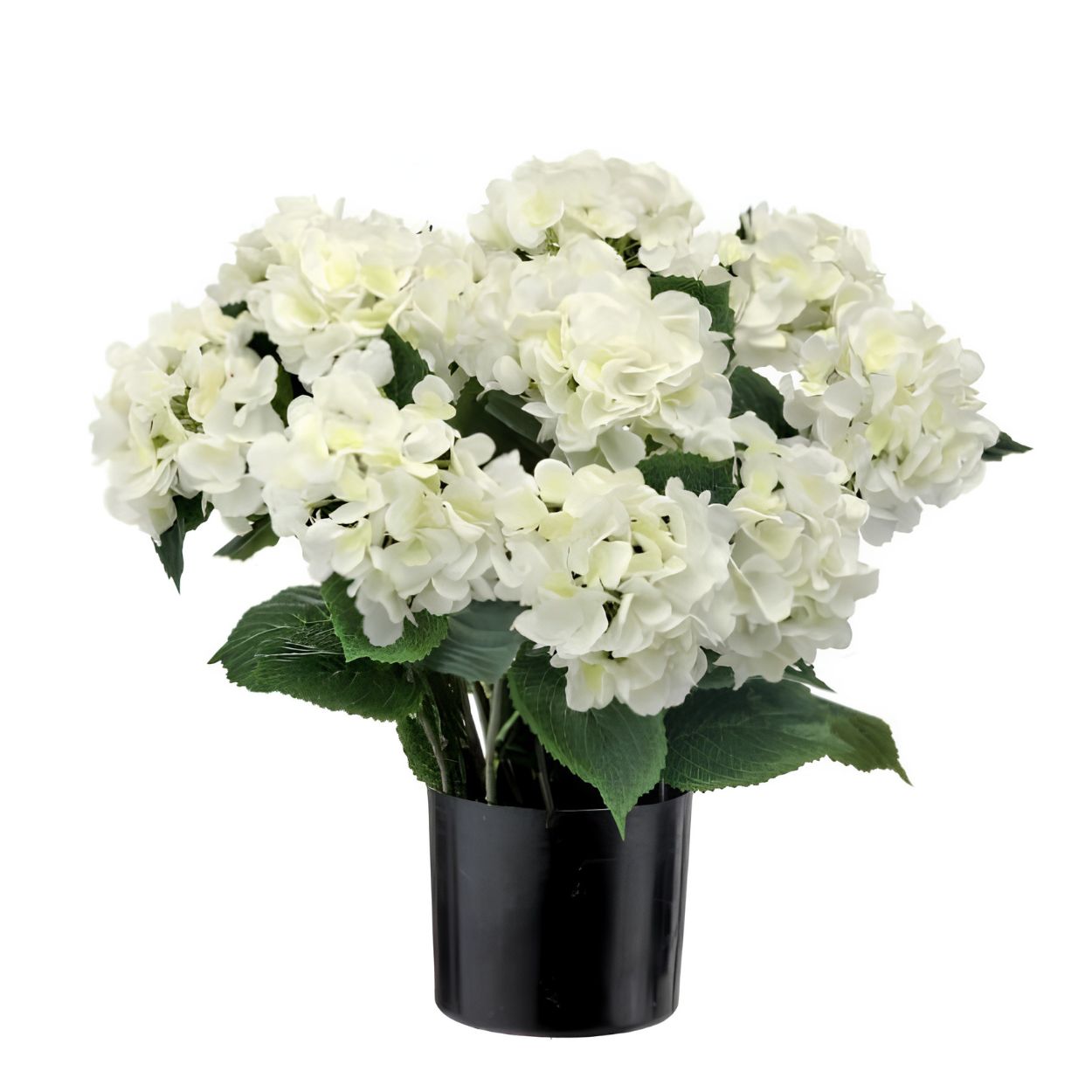 22" POTTED GARDEN HYDRANGEA-WHITE