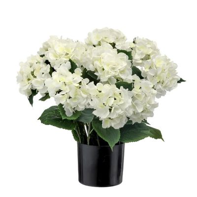 22" POTTED GARDEN HYDRANGEA-WHITE