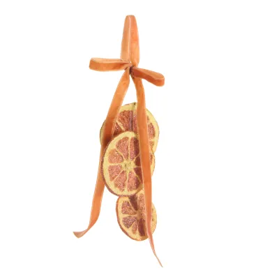 5.5" Iced Orange Slice Ornament