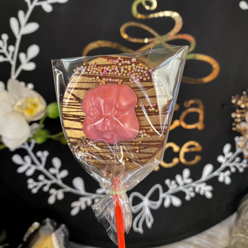 PALETA CHANCHITA