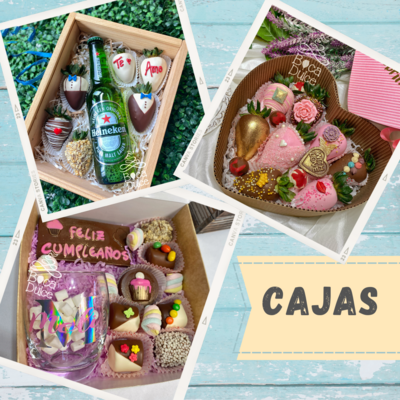 FRUTALES EN CAJAS