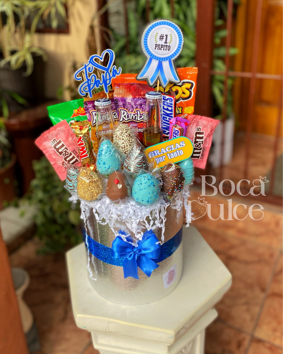 San José Gift