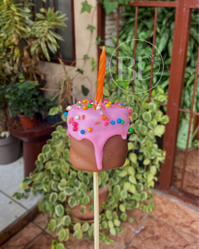 BOMBON DE MARSHMALOWS MINICAKE 