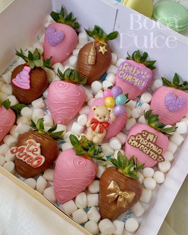 GLORIA TWELVE BOX