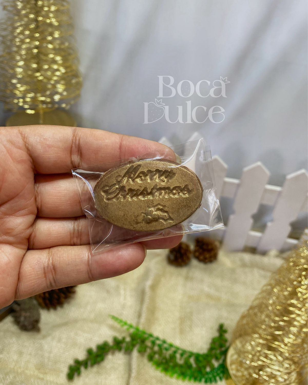 Moneda Merry Christmas.