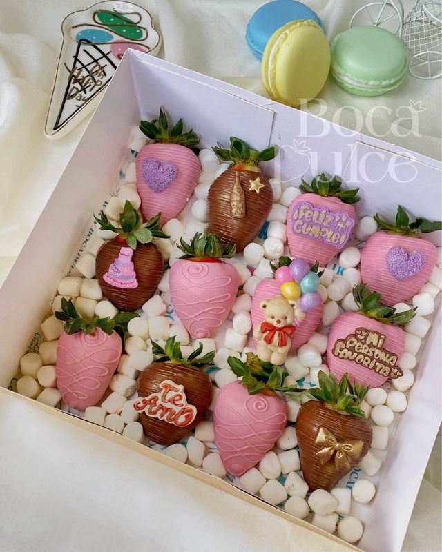 GLORIA TWELVE BOX