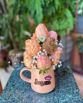 Dulce Bella en Rosa