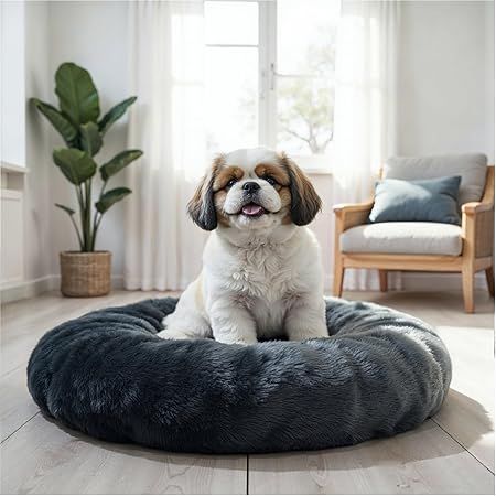 Pet Bed