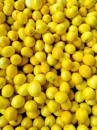 Citron jaune - 4 pièces