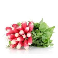 Radis botte - 1 botte