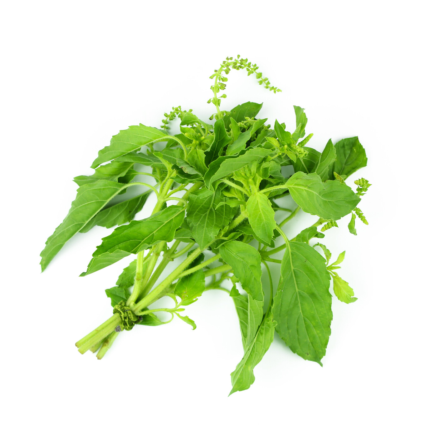 Hot Basil - 3oz