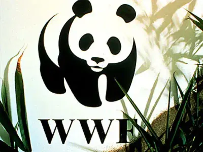 WWF