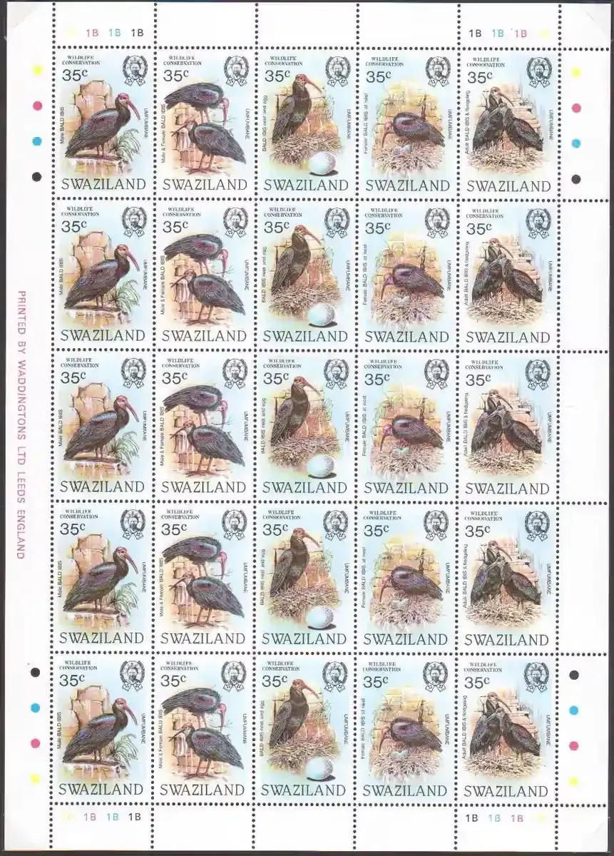 Swaziland 1984 Birds - Wildlife Conservation - Bald Ibis. WWF. MNH
