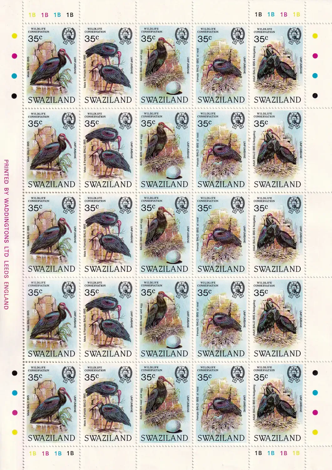 Swaziland 1984 Birds - Wildlife Conservation - Bald Ibis. WWF. UMM