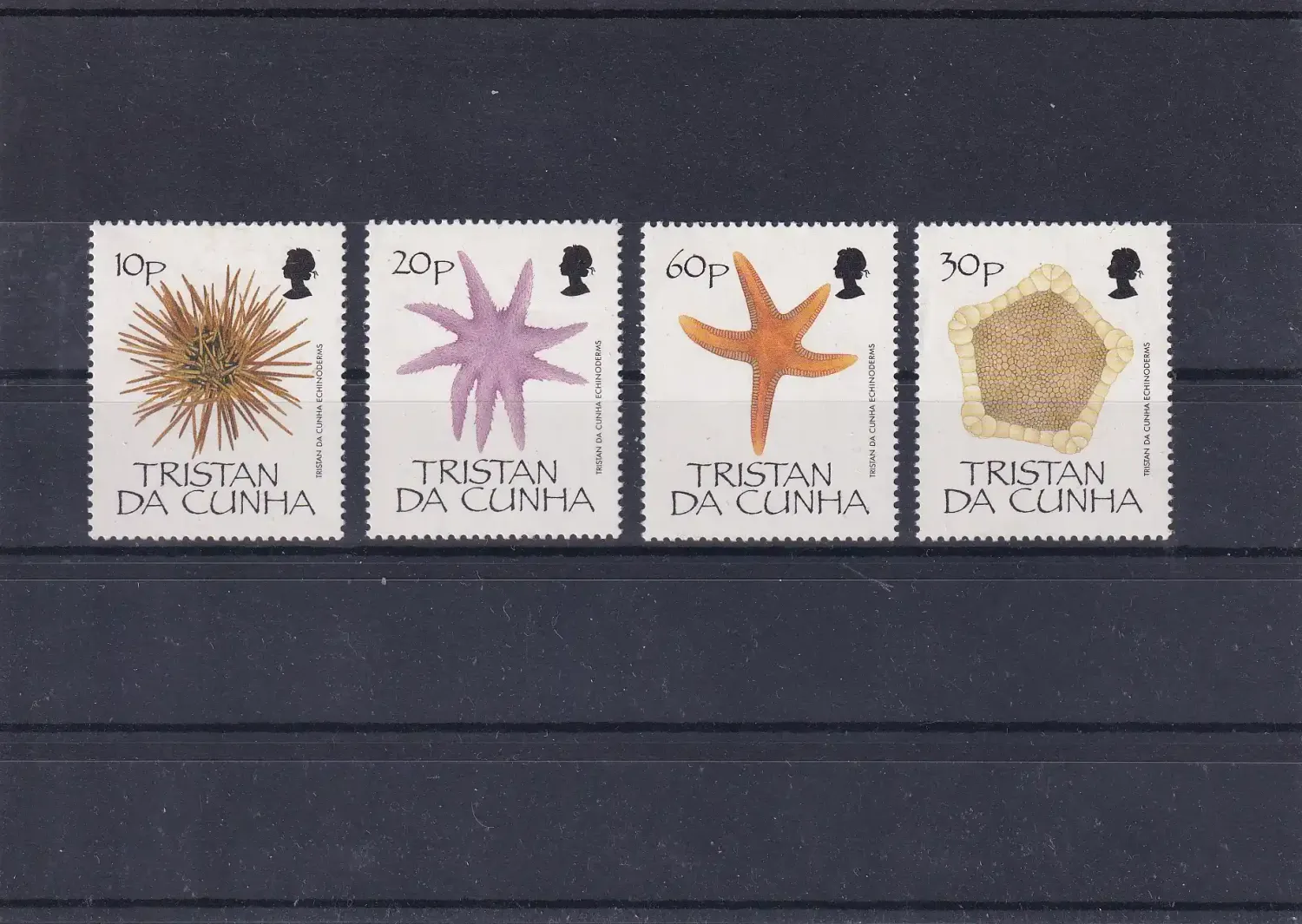 Tristan da Cunha 1990 Echinoderms/Starfish. UMM