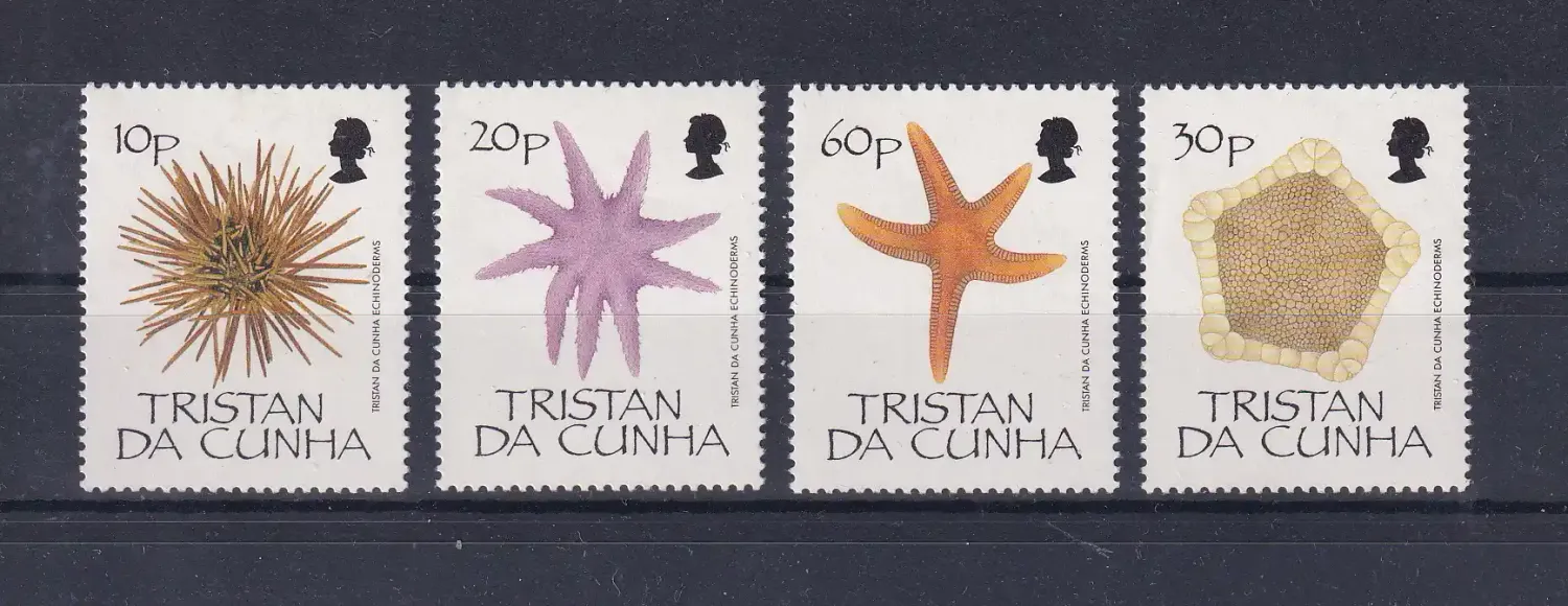 Tristan da Cunha 1990 Echinoderms/Starfish. UMM